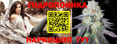 spice Гусиноозёрск