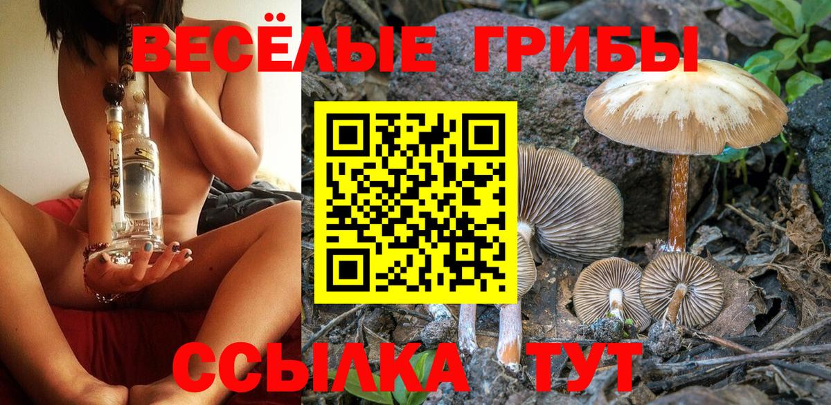 Галлюциногенные грибы GOLDEN TEACHER Пушкино